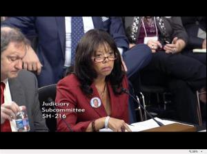 Lucia Mcbath testifies at US Senate hearing on stand your ground