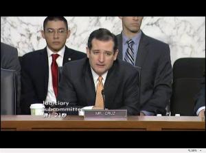 Senator Ted Cruz at stand your ground hearing October 29, 2013